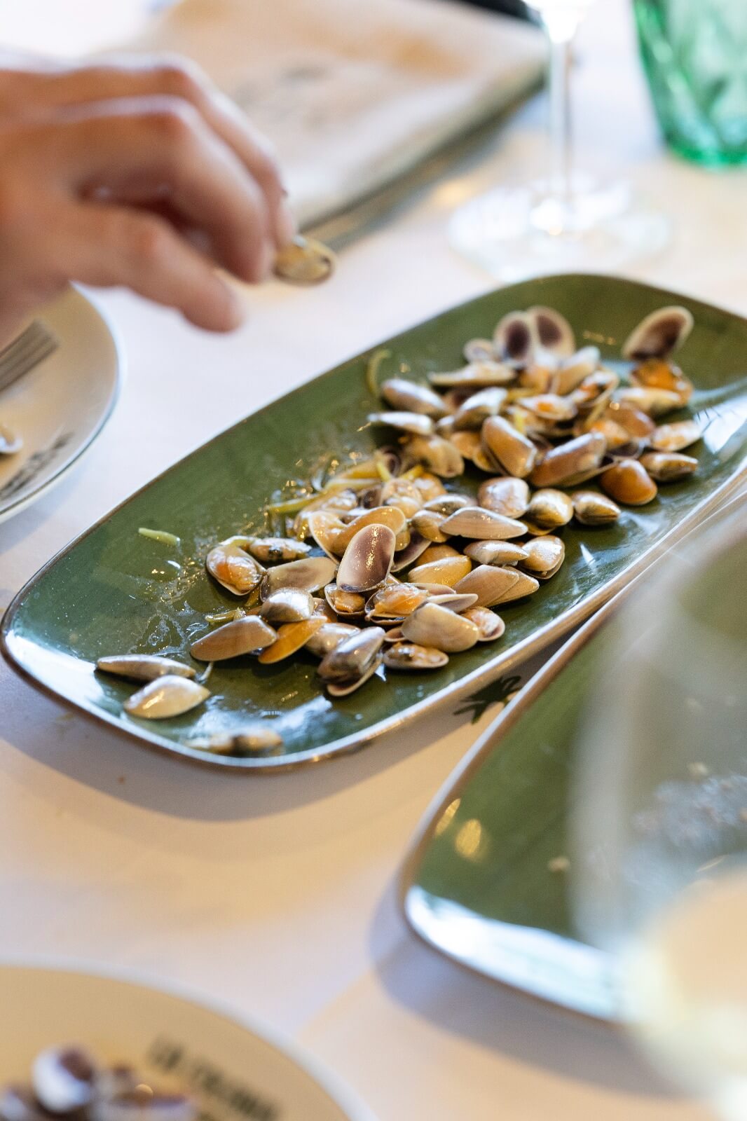 18204340-90dd-4050-a388-5fa0f78e5736